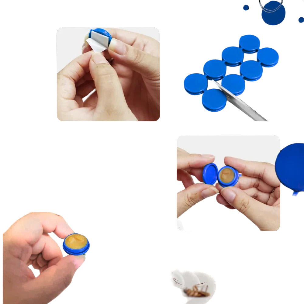 Cockroach Traps with Odorless Design and Effective Adhesive