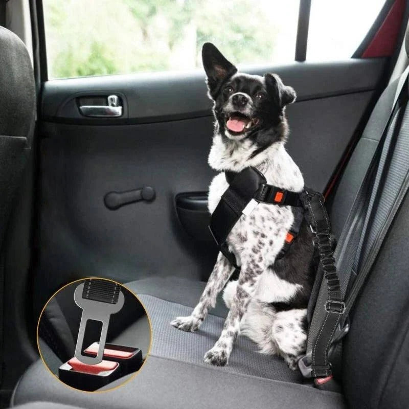 Dog Car Seat with Safety Harness and Adjustable Strap