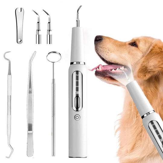 Dog Dental Care with Tartar Control and Calculus Removal