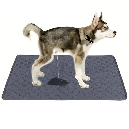 Dog Pee Pads with Disposable and Reusable Options