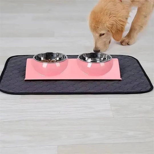 Dog Pee Pads with Disposable and Reusable Options