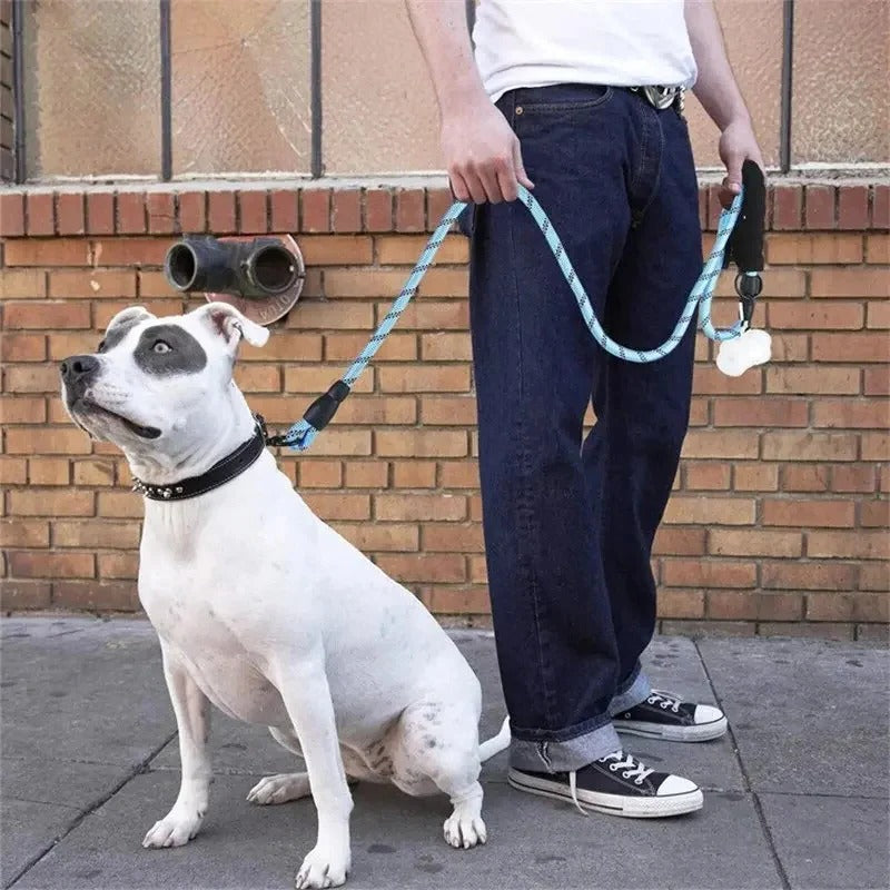 Dog Leash with Reflective Material and Padded Handle