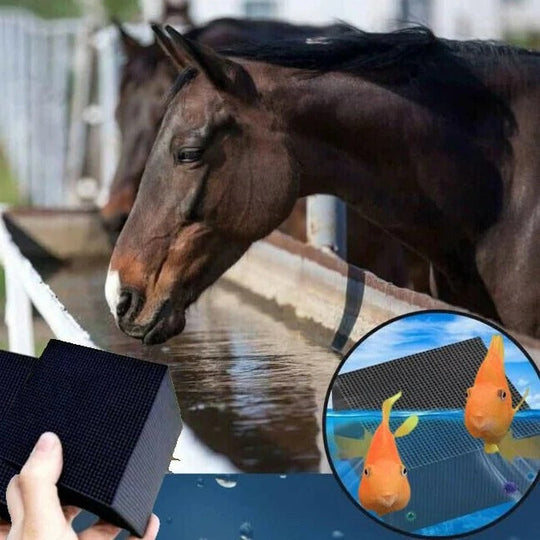 Bio Cube with Eco-Friendly Purification and Clear Water