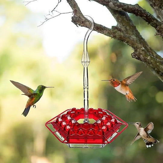 Hummingbird Feeder with Leak Proof Design and Ant Guard