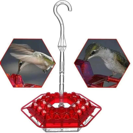 Hummingbird Feeder with Leak Proof Design and Ant Guard