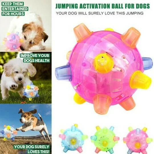Dog Toy with Interactive Bouncing and Jumping Features