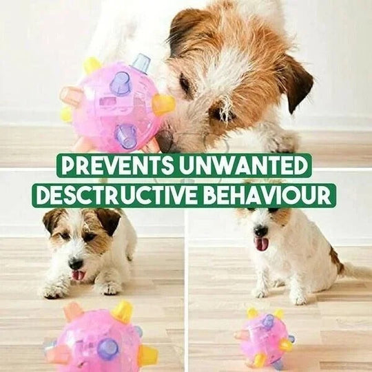 Dog Toy with Interactive Bouncing and Jumping Features