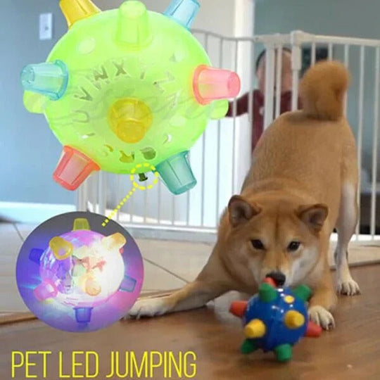 Dog Toy with Interactive Bouncing and Jumping Features