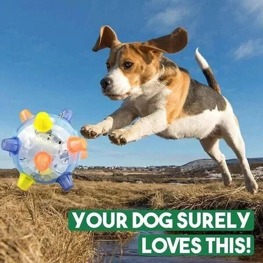 Dog Toy with Interactive Bouncing and Jumping Features