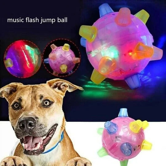 Dog Toy with Interactive Bouncing and Jumping Features
