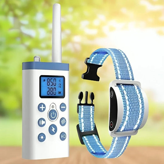 Cat Training Collar with Adjustable Sound and Vibration