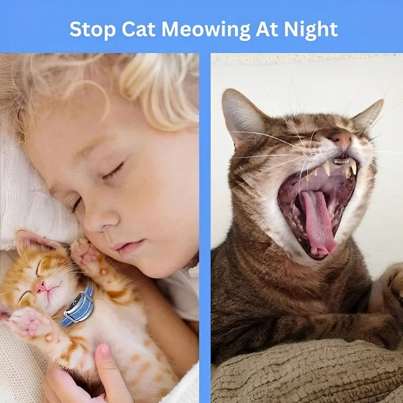 Cat Training Collar with Adjustable Sound and Vibration