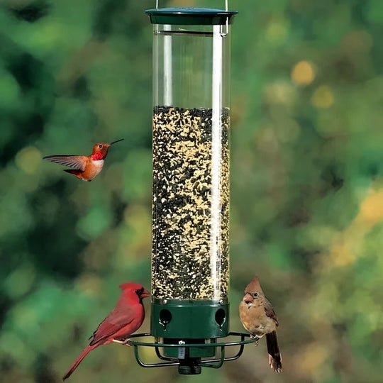 Bird Feeder with Weather Resistance and Squirrel Proof Design