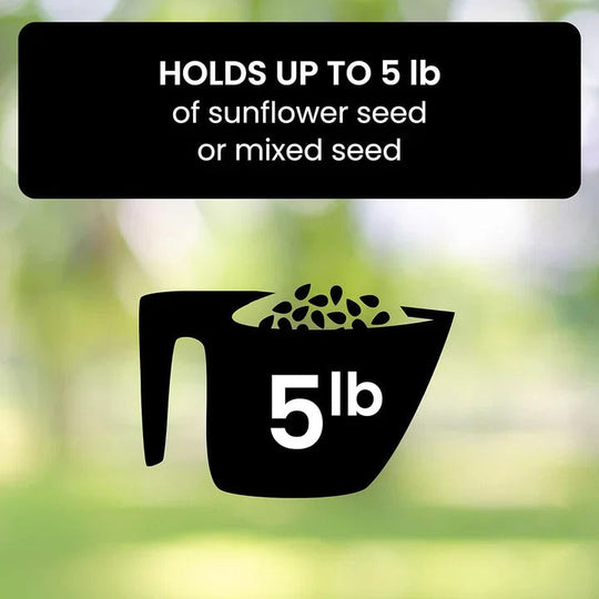 Bird Feeder with Weather Resistance and Squirrel Proof Design