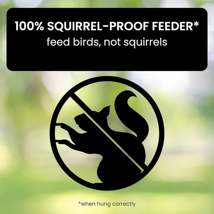 Bird Feeder with Weather Resistance and Squirrel Proof Design