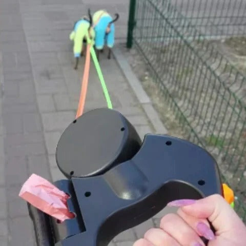 Dog Leash with Swivel Hook and LED Light