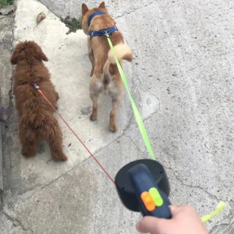 Dog Leash with Swivel Hook and LED Light