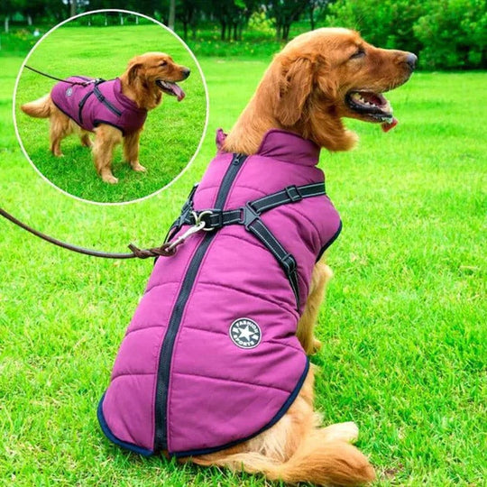 Dog Jacket with Waterproof Fabric and Fleece Lining