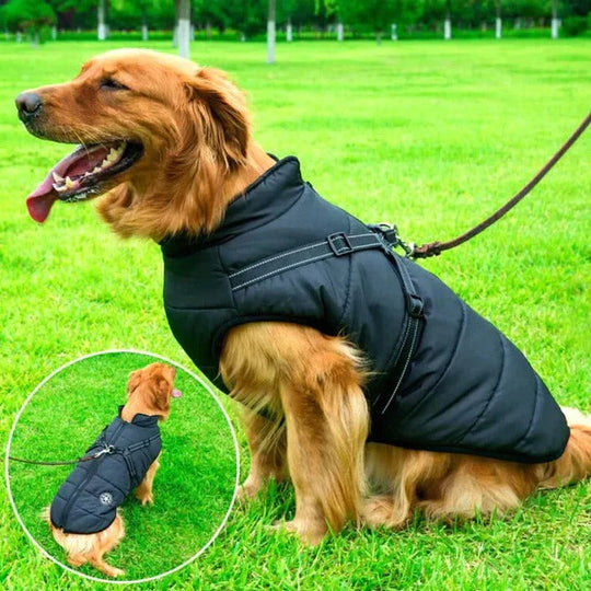 Dog Jacket with Waterproof Fabric and Fleece Lining