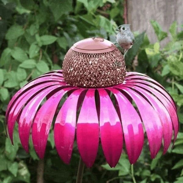 Bird Feeder with Metal Seed Dish and Outdoor Design
