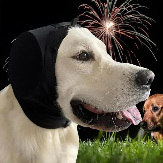 Dog Ear Muffs with Noise Reduction and Comfort Fit