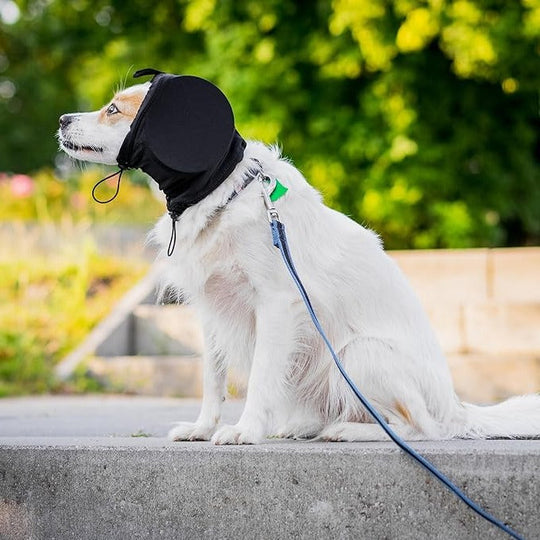 Dog Ear Muffs with Noise Reduction and Comfort Fit