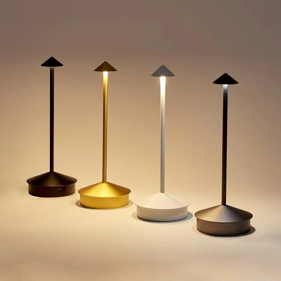 Desk Lamp with Cordless Design and Touch Control