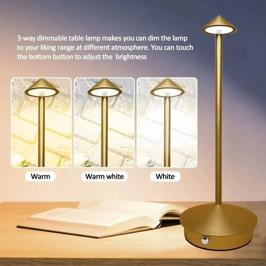 Desk Lamp with Cordless Design and Touch Control