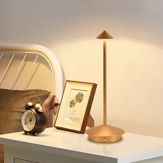 Desk Lamp with Cordless Design and Touch Control