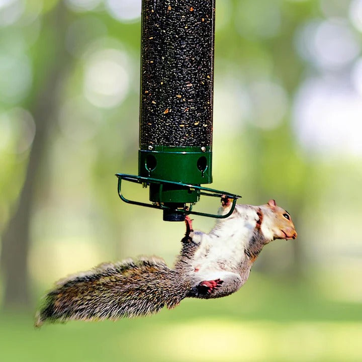 Bird Feeder with Squirrel Guard and Easy Refilling