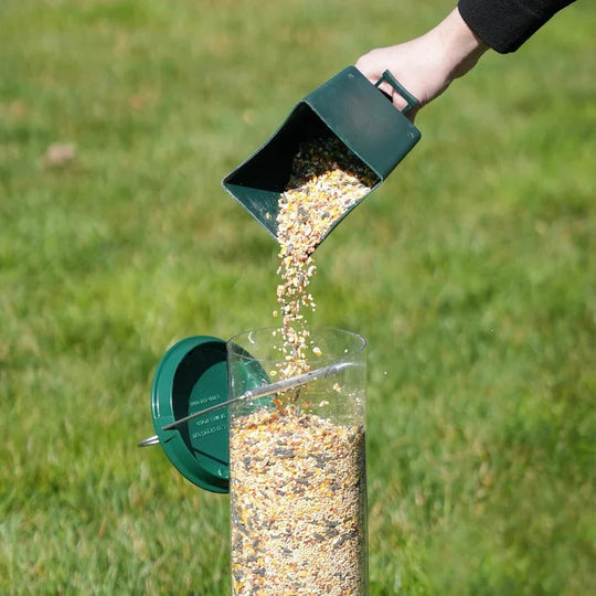 Bird Feeder with Squirrel Guard and Easy Refilling