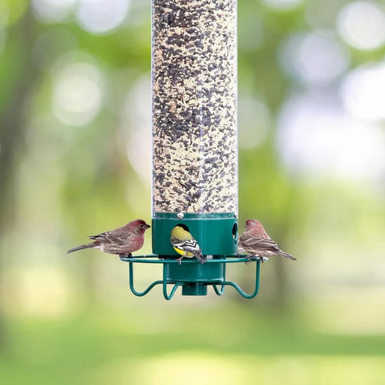 Bird Feeder with Squirrel Guard and Easy Refilling