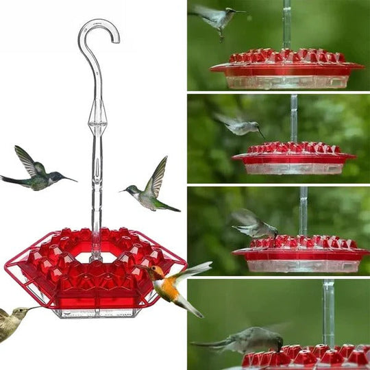 Hummingbird Feeder with Ant Moat and Easy Fill Design