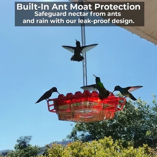 Hummingbird Feeder with Ant Moat and Easy Fill Design
