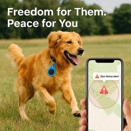 Bluetooth Tracker with Pet Locator and Key Finder
