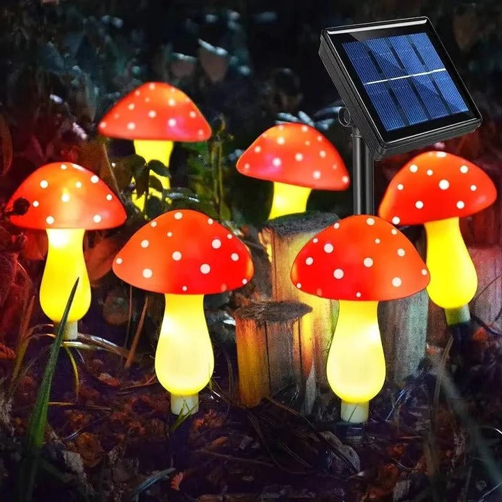 Garden Lights with Solar Power and LED Design