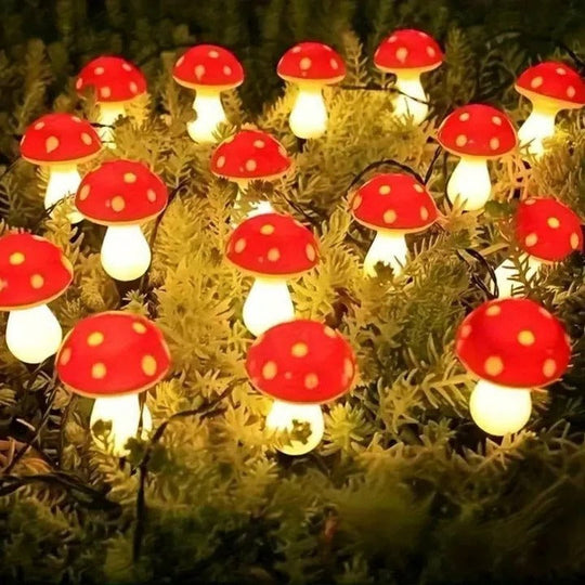 Garden Lights with Solar Power and LED Design