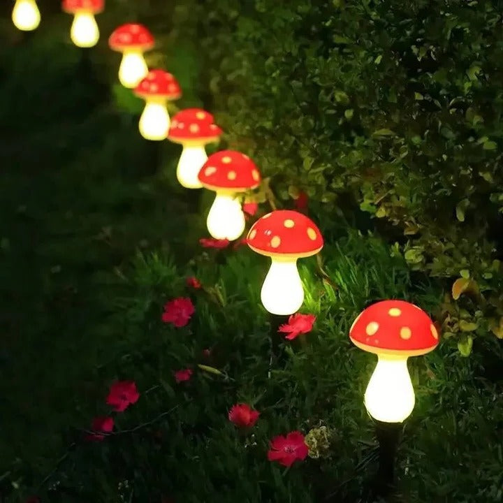 Garden Lights with Solar Power and LED Design
