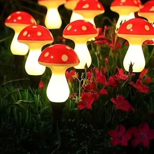 Garden Lights with Solar Power and LED Design