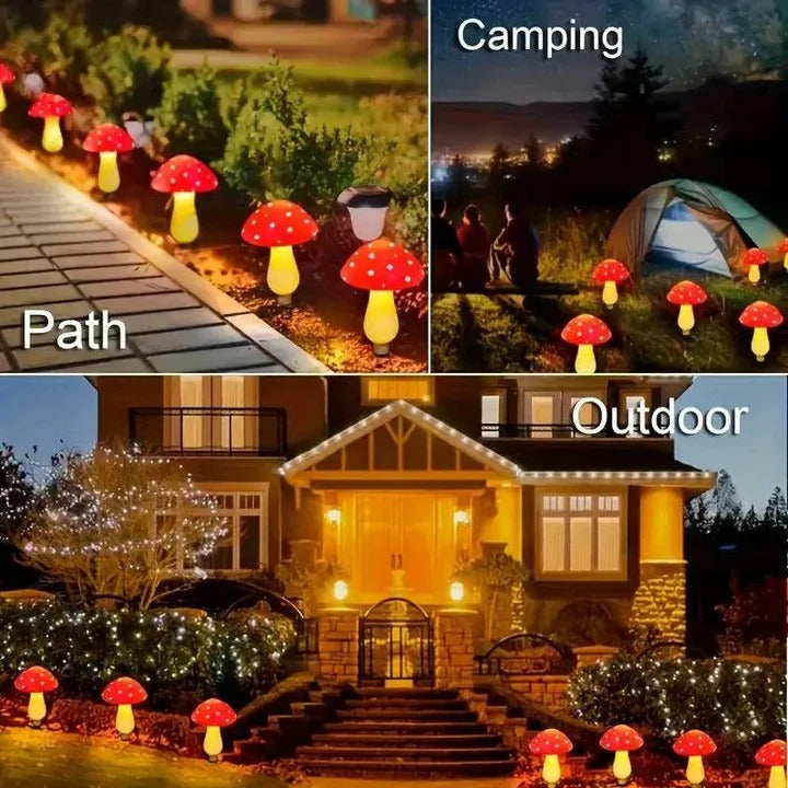 Garden Lights with Solar Power and LED Design