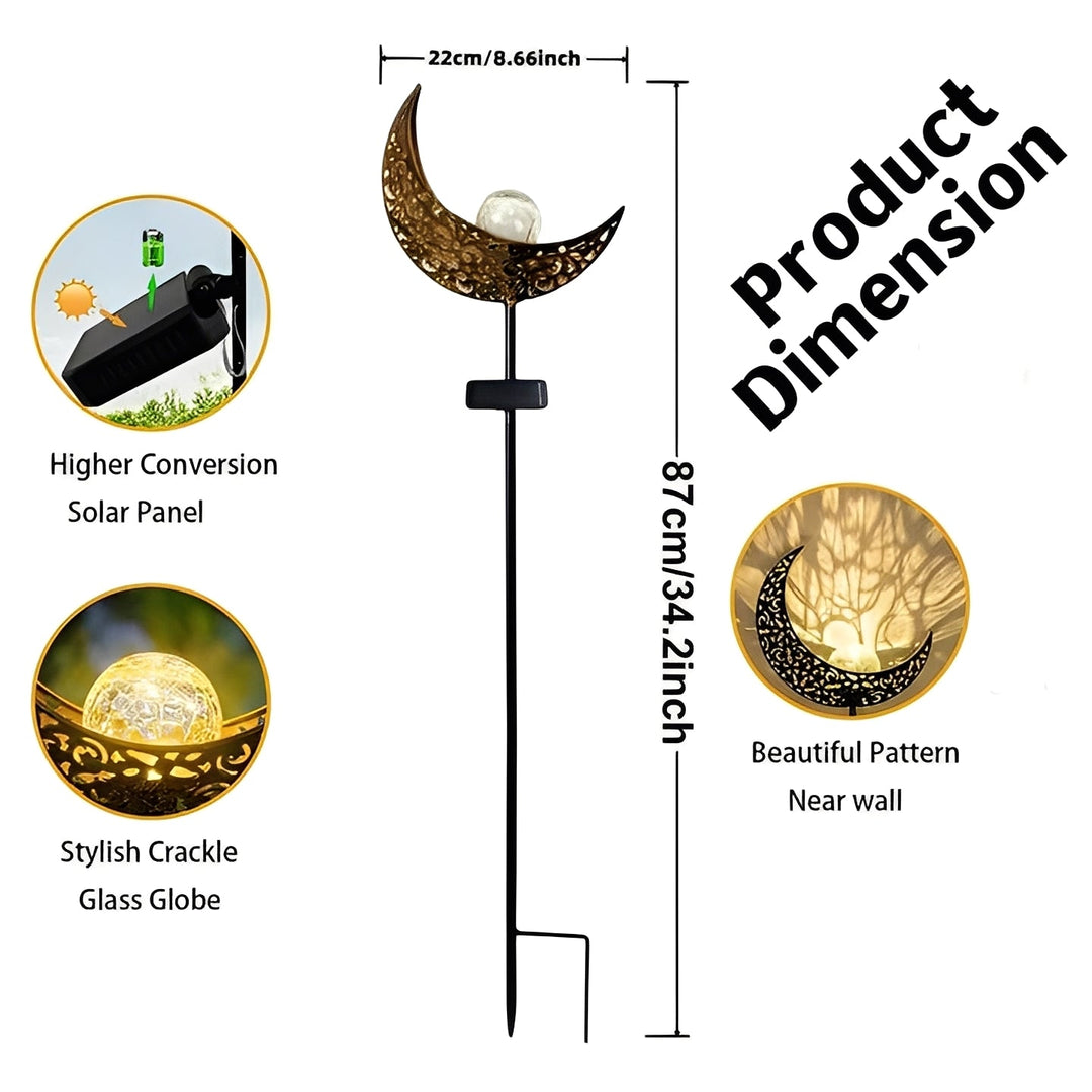 Garden Lights with Solar Power and Pathway Illumination
