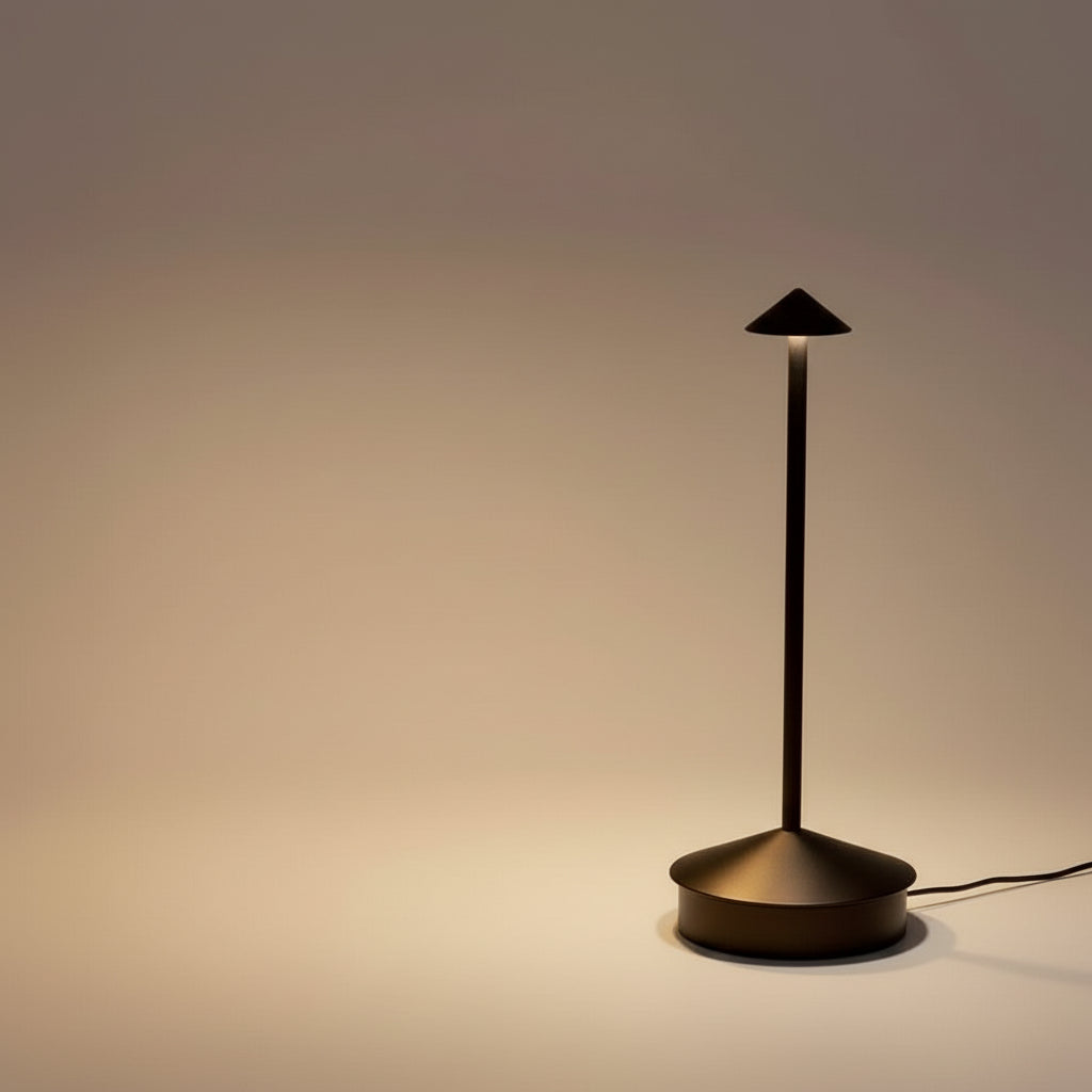 Desk Lamp with Cordless Design and Touch Control