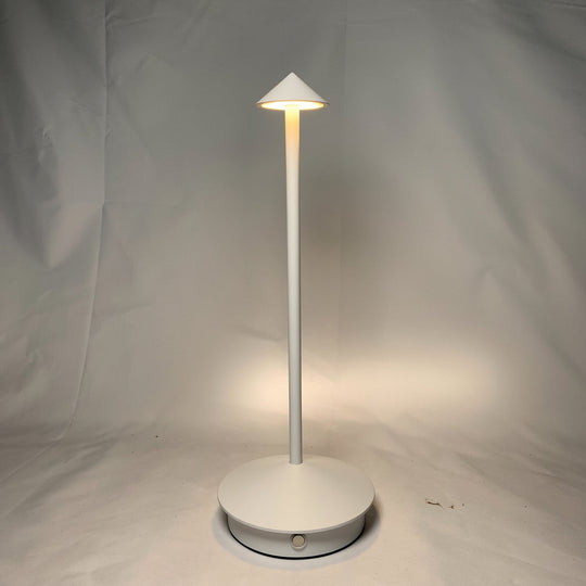 Desk Lamp with Cordless Design and Touch Control
