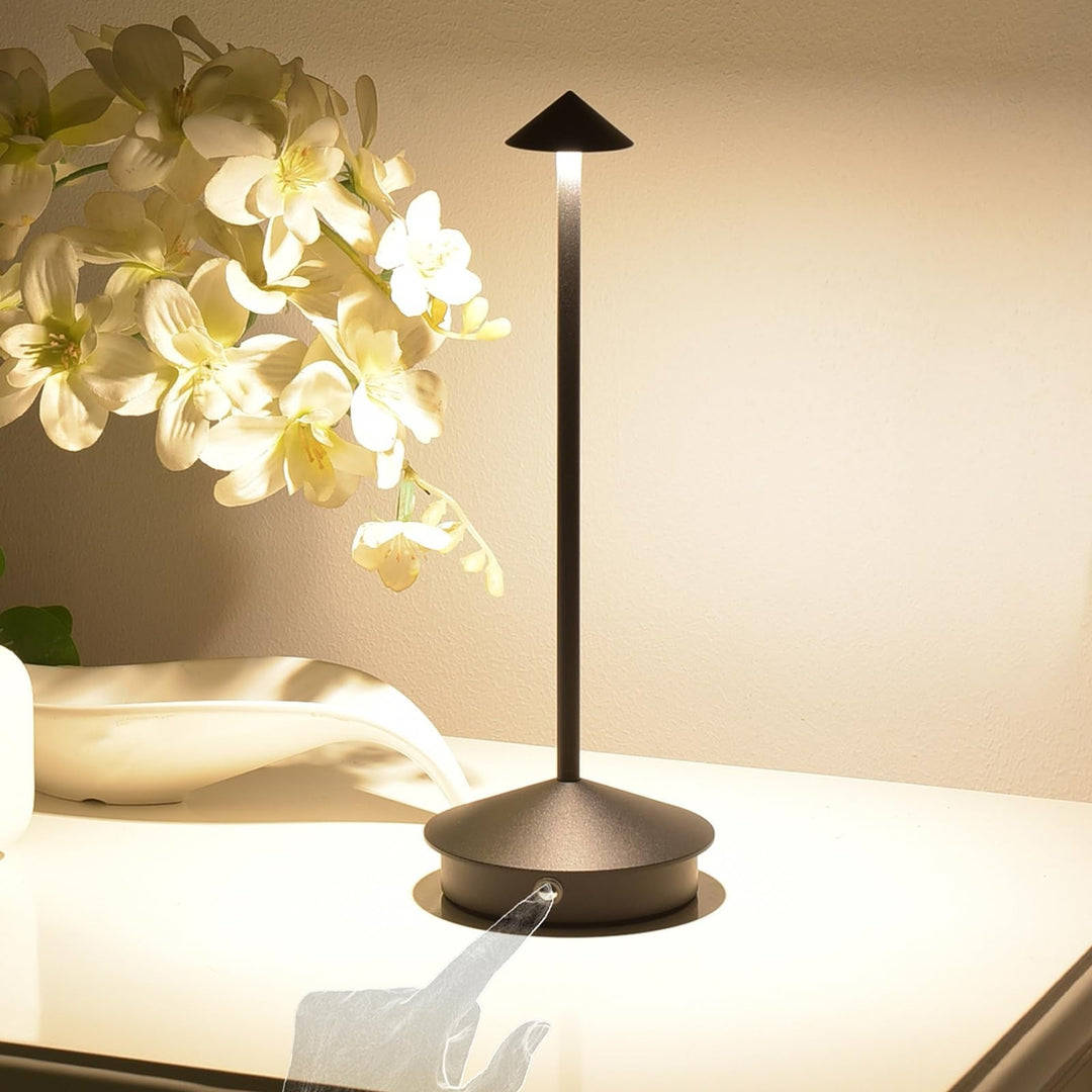 Desk Lamp with Cordless Design and Touch Control