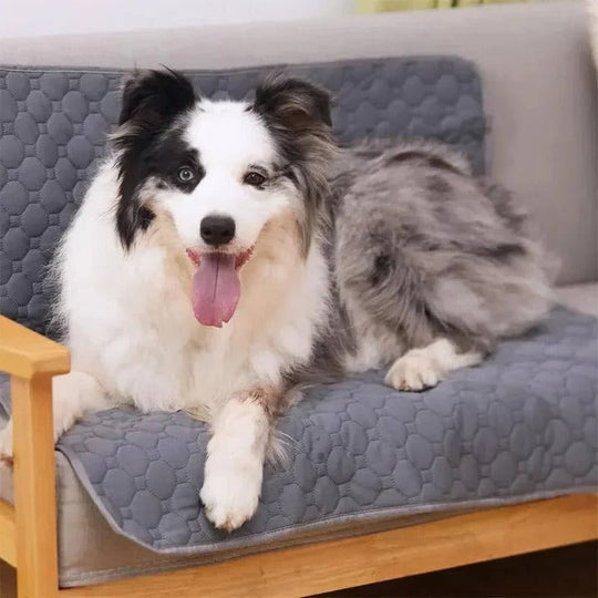 Dog Pee Pad with Reusable Layers and TPU Base