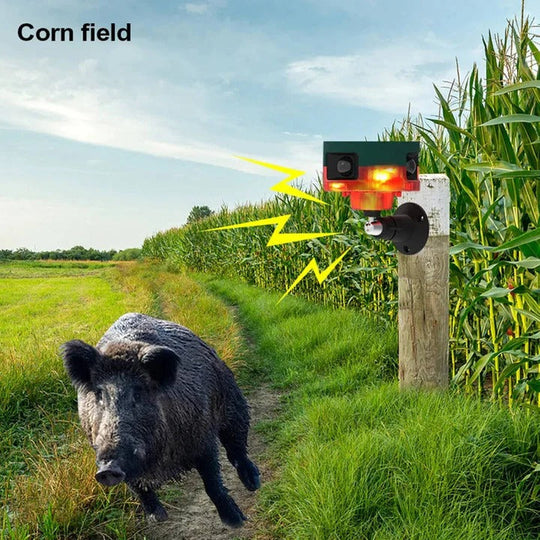 Bird and Pest Repellent with Solar Power and 360-Degree Coverage