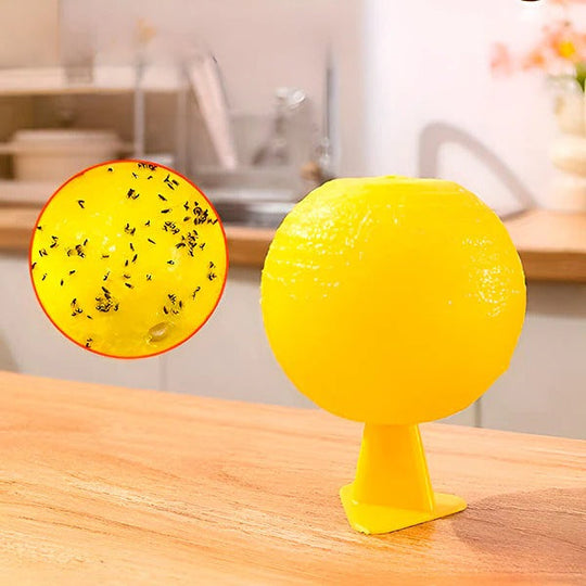 Fly Trap with Adhesive Sticky Layer and Set of 6