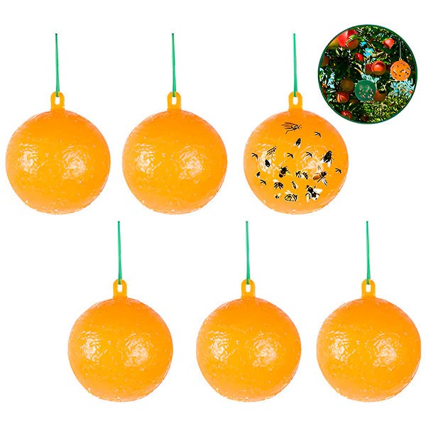 Fly Trap with Adhesive Sticky Layer and Set of 6