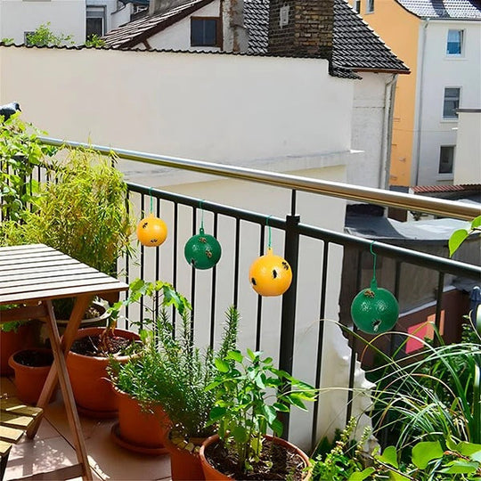 Fly Trap with Adhesive Sticky Layer and Set of 6