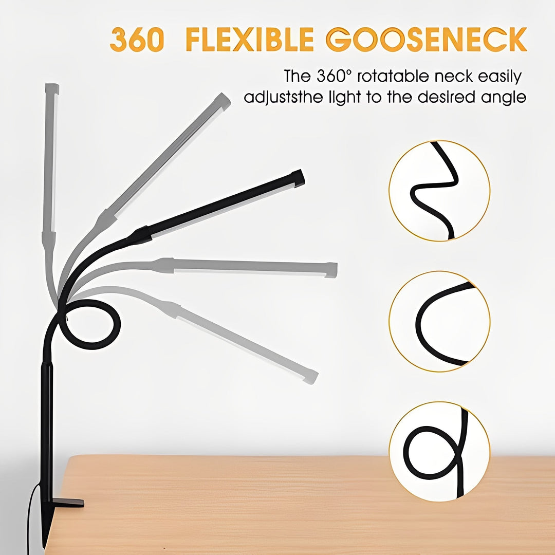 Desk Lamp with Gooseneck Clamp and Adjustable Brightness